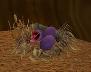 Takk's Nest