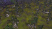 HighlandForest