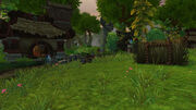 Old PiJiu Timeless Isle