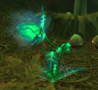 Corrupted Night Dragon Wowwiki Fandom