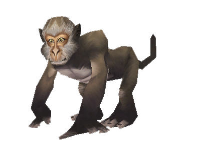 wow monkey quest