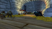 GryphonRoost
