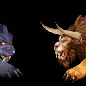 Cat Form Wowwiki Fandom