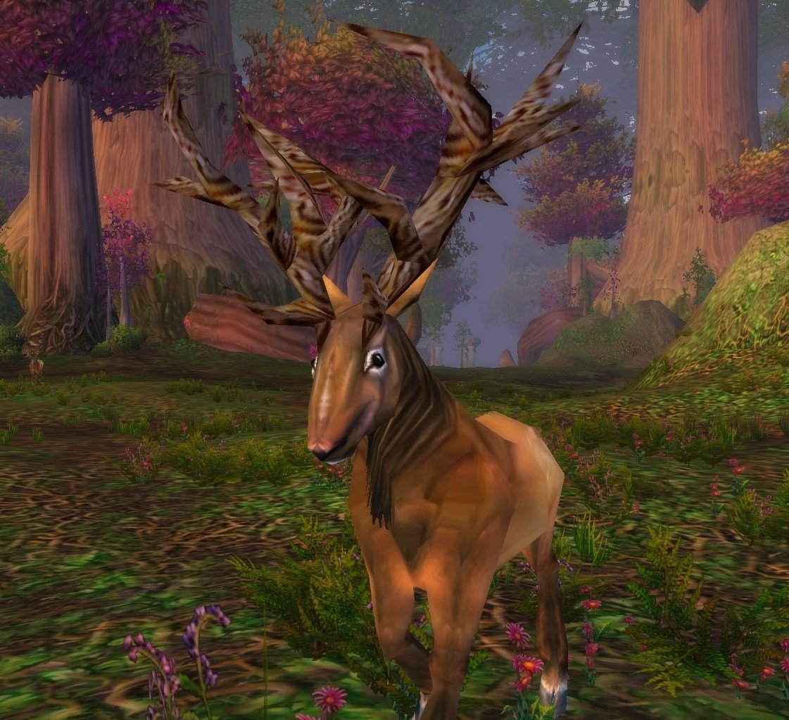 Wild Buck | WoWWiki | FANDOM powered by Wikia
