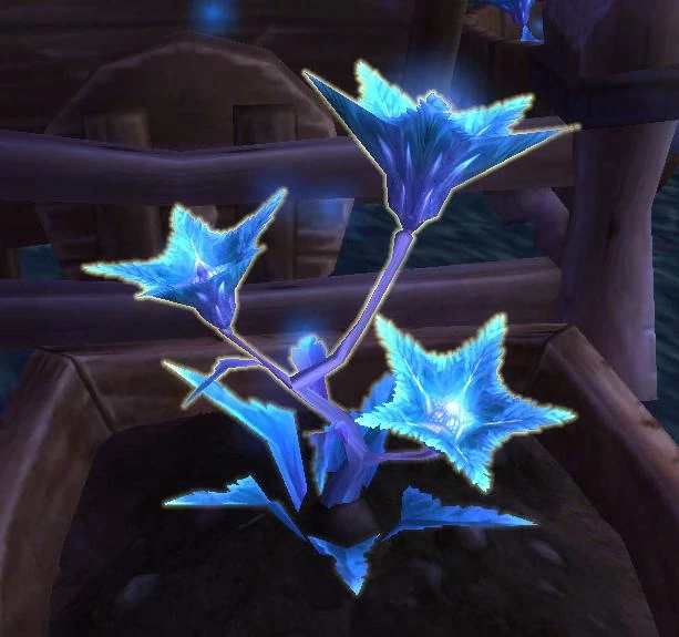 Starflower WoWWiki FANDOM powered by Wikia