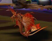 Golden dragonhawk hatchling