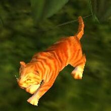 Cat Carrier Orange Tabby Wowwiki Fandom