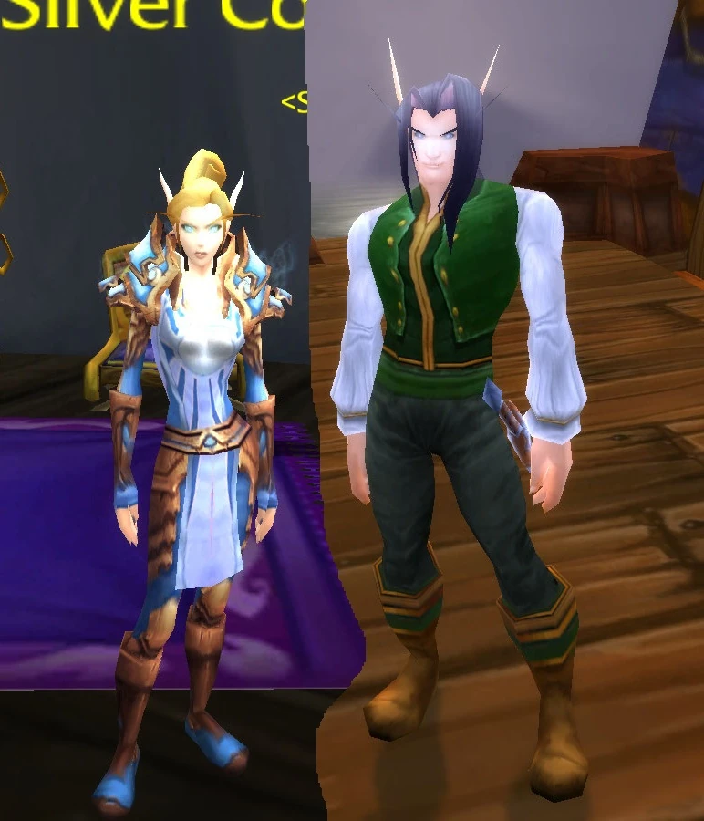 Image Female male High Elf.jpg WoWWiki FANDOM