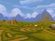 Spirit Fields