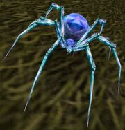 SmolderwebHatchling
