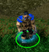 PeasantWC3