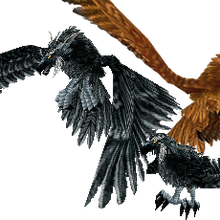 Flight Form Wowwiki Fandom