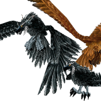 Flight Form Wowwiki Fandom