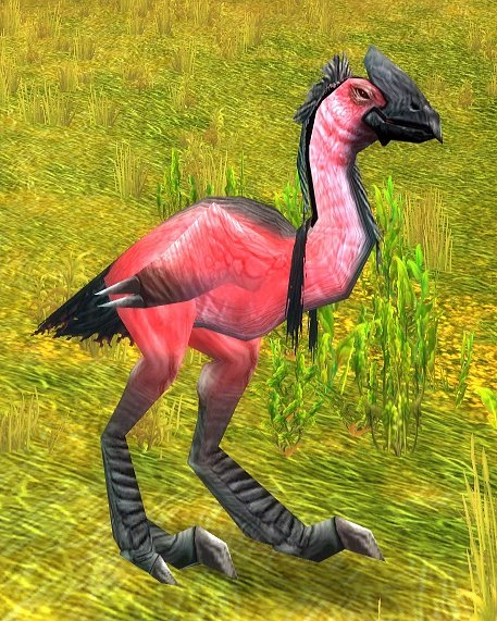Mazzranache
