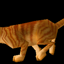 Cat Carrier Orange Tabby Wowwiki Fandom