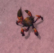 SpineshellPincer