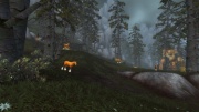 Crowley Stable Grounds