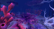Deepfin-Ridge-1