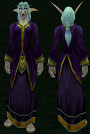 Lesser Wizard's Robe