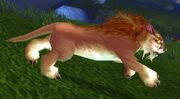 Elder Springpaw