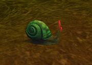 ScootertheSnail