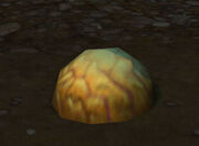 Sand-Covered Egg