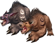 Bear Form