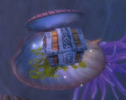 DeepfinPlunder