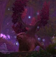RestoDruid
