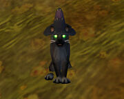 FelineFamiliar