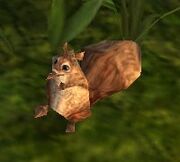 Nuts