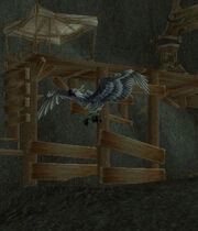 OlBeaky