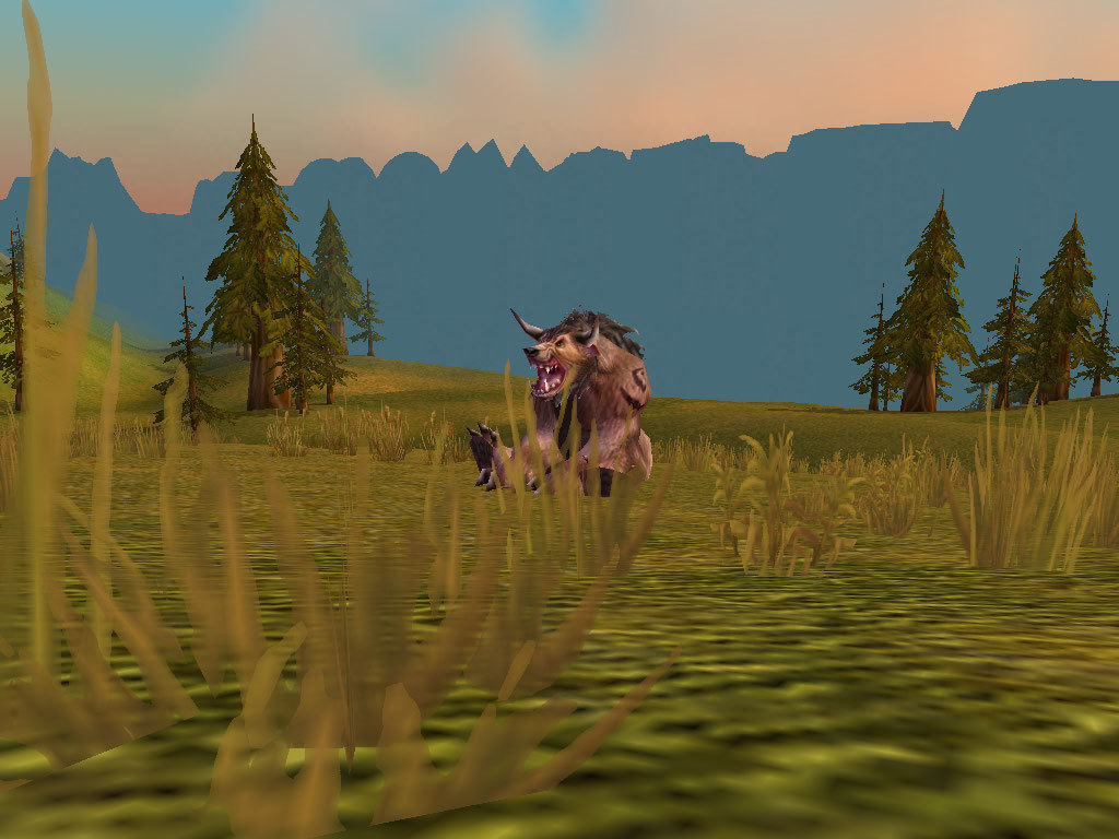 Screenshots of your animal forms | WoWWiki | FANDOM powered by Wikia