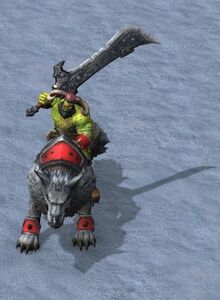 Raider