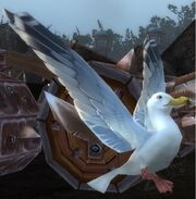 Rustberg Gull