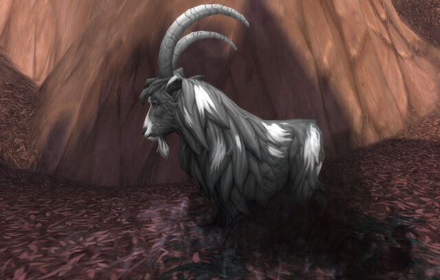 File:Diseased Goat.jpg