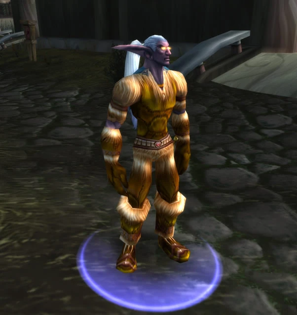 CategoryWorld of Warcraft leather items WoWWiki FANDOM powered by