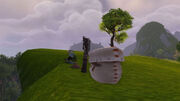 WindsEdge