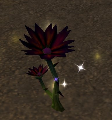 Black Lotus.jpg