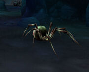EchowebSpinner