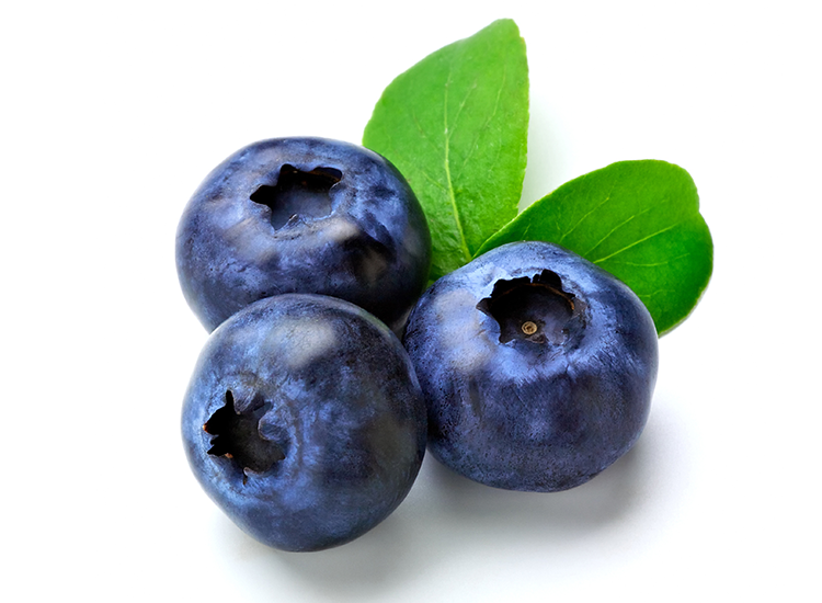 Image result for blue barry fruit