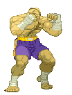 Sagat