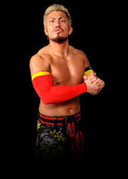 Akira Tozawa  Wrestlepedia Wiki  FANDOM powered by Wikia