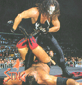 Sting04