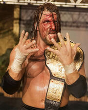 TripleH006