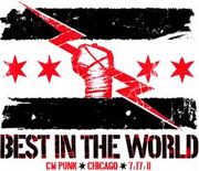 CM Punk 12