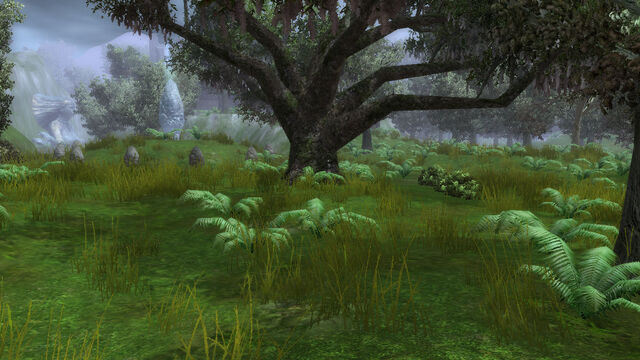 File:Oaknest Forest.jpg