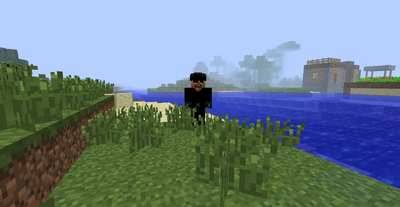 Highwayman