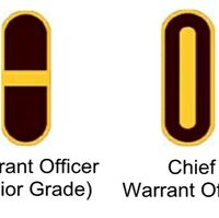 USA Enlisted Specialist Seventh Class SPEC 7 E-7 rank duty badge single c//b