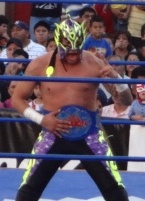 Fenix-AAA-Fusion-Champion-Cropped
